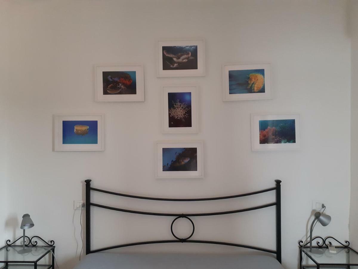 Campese Apartments 외부 사진